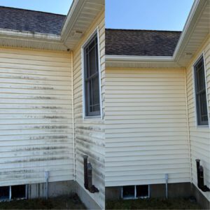 Vinyl siding before and after a soft wash, with green algae streaks removed