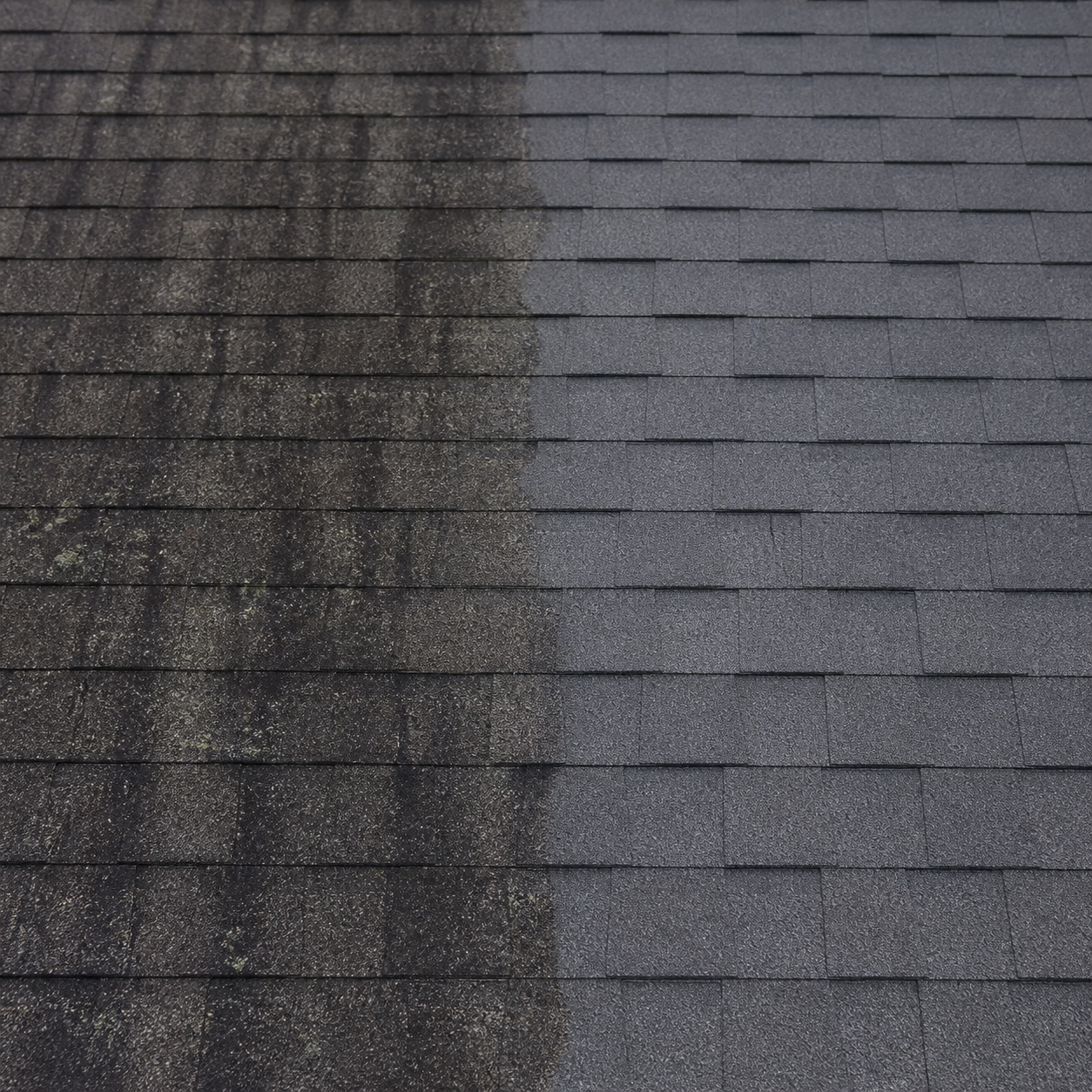 Asphalt shingle roof